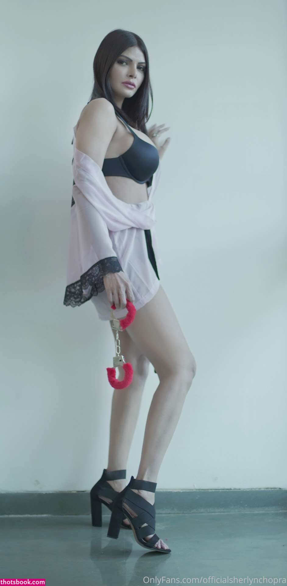 Sherlyn Chopra Photo #17