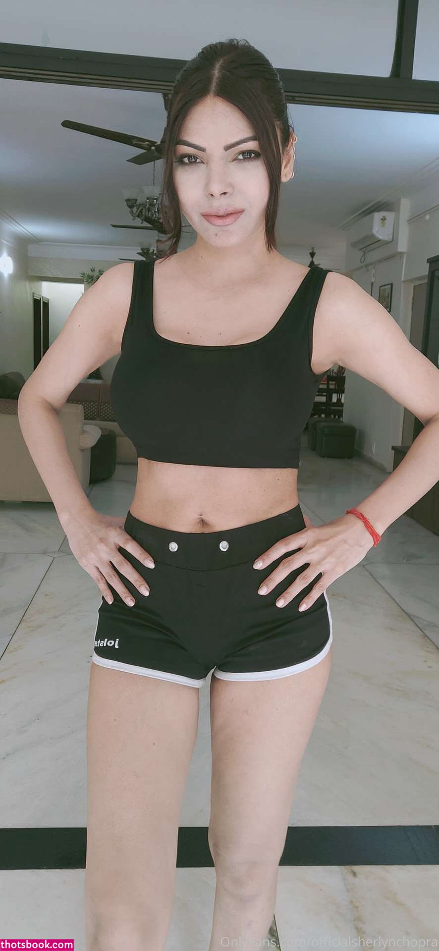 Sherlyn Chopra Photo #28