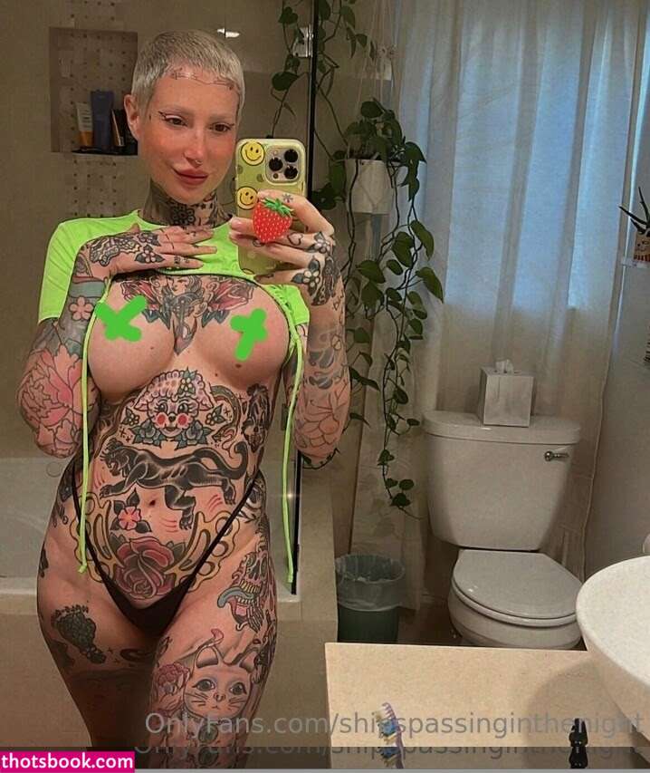 shipspassinginthenight Photo #9