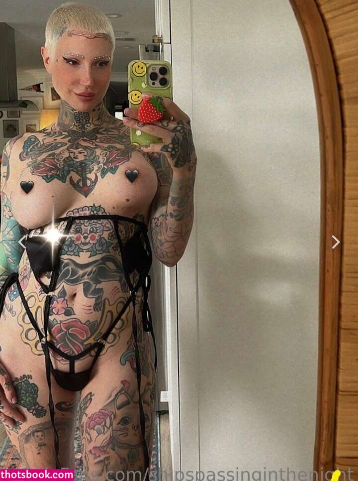 shipspassinginthenight Photo #12