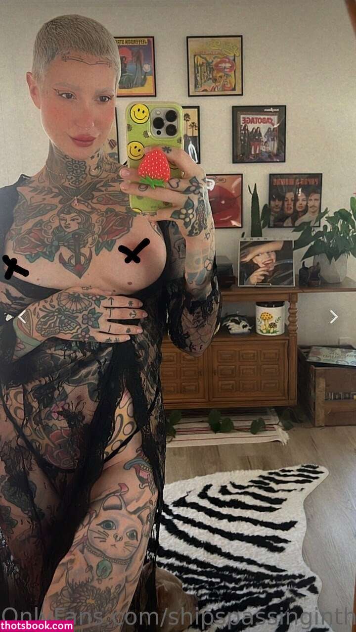 shipspassinginthenight Photo #16