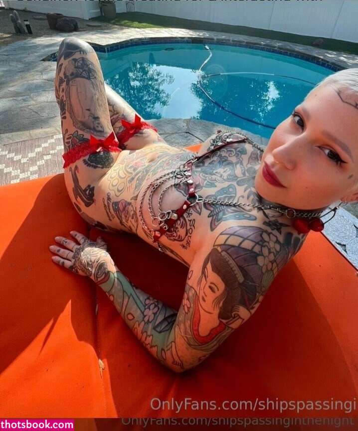 shipspassinginthenight Photo #24