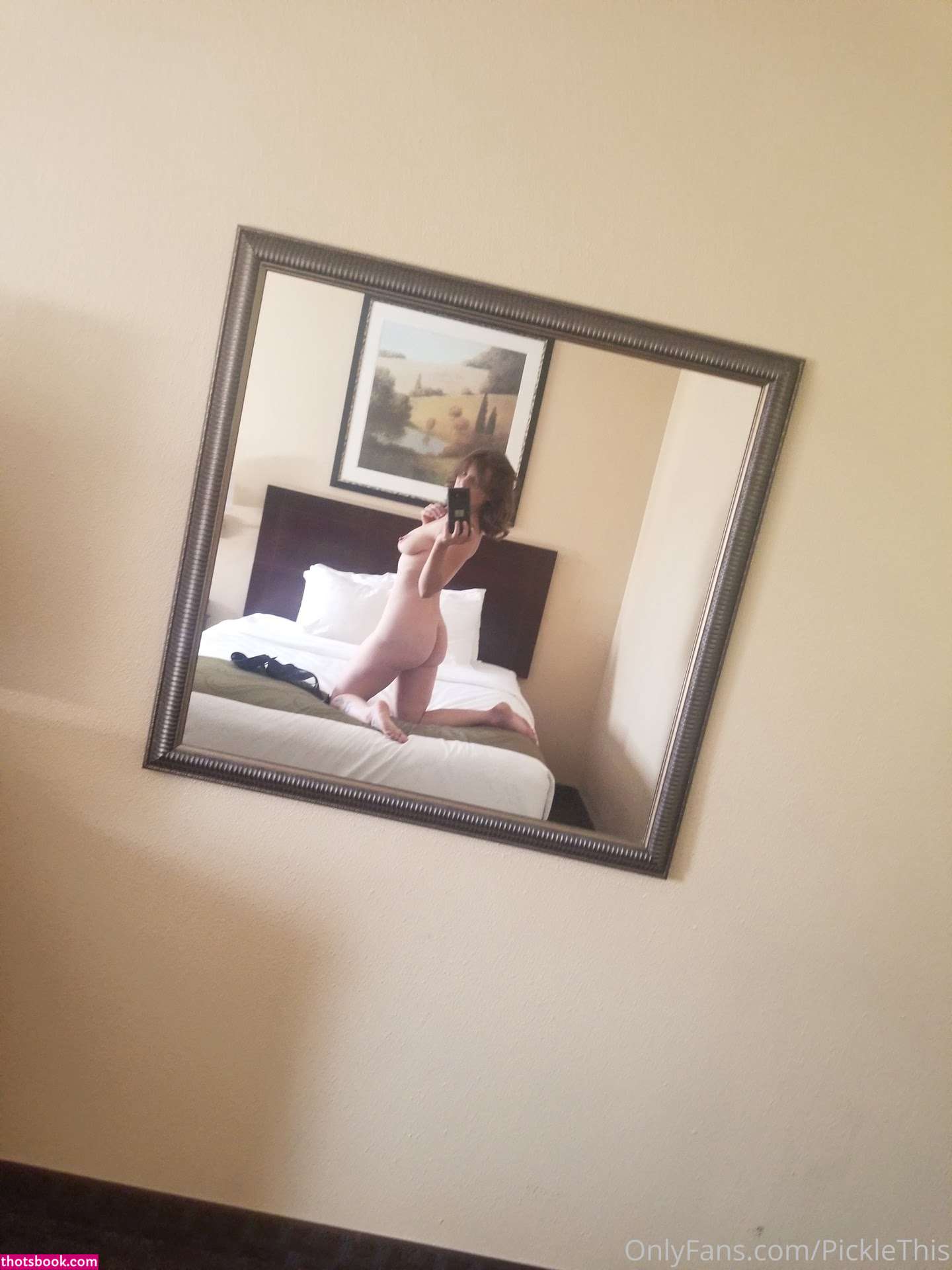 Picklethis Photo #30