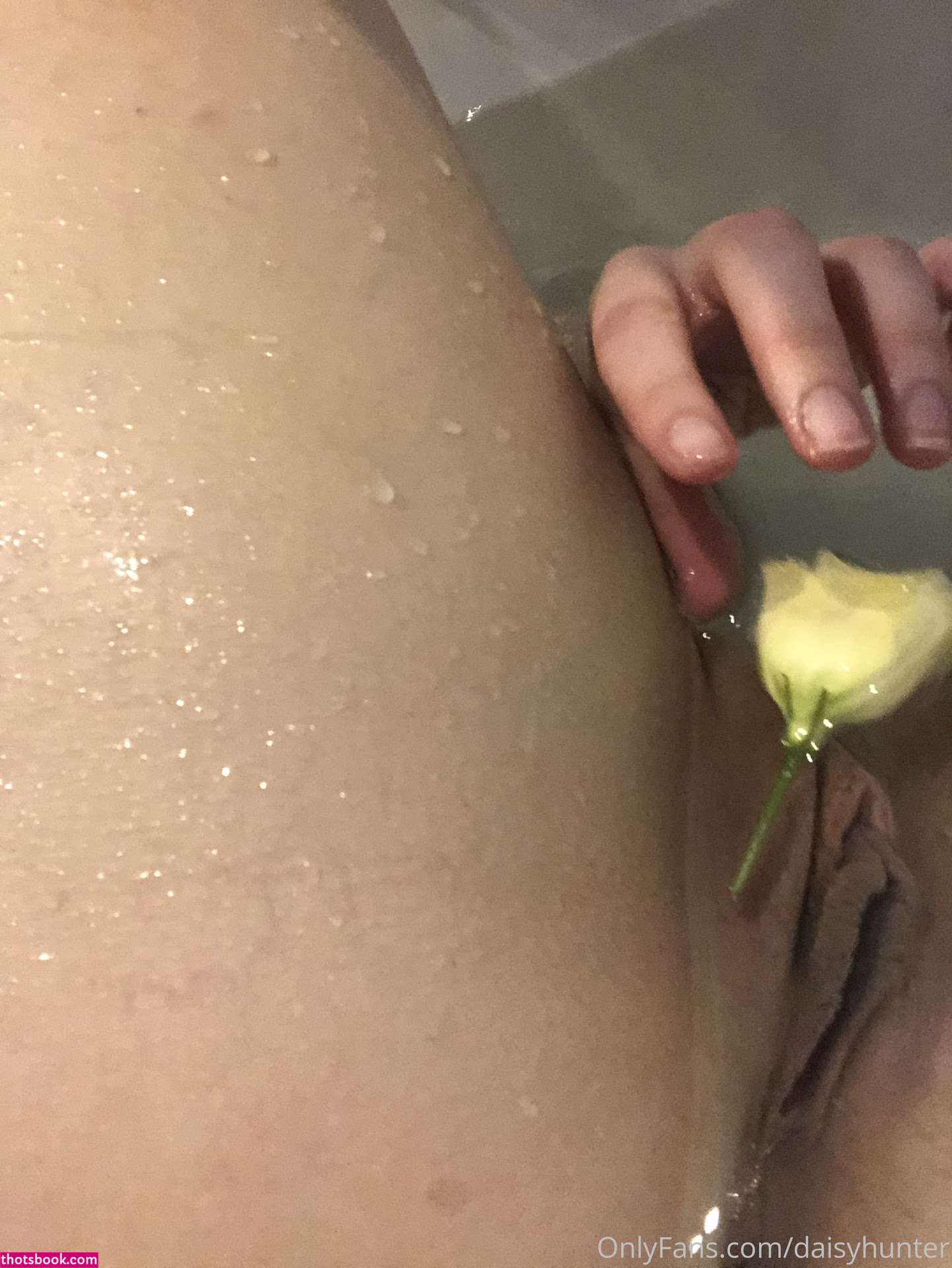 Daisy Hunter Photo #8