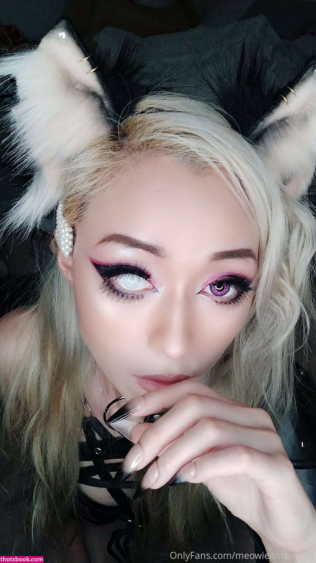 Meowieantoinette Photo #9