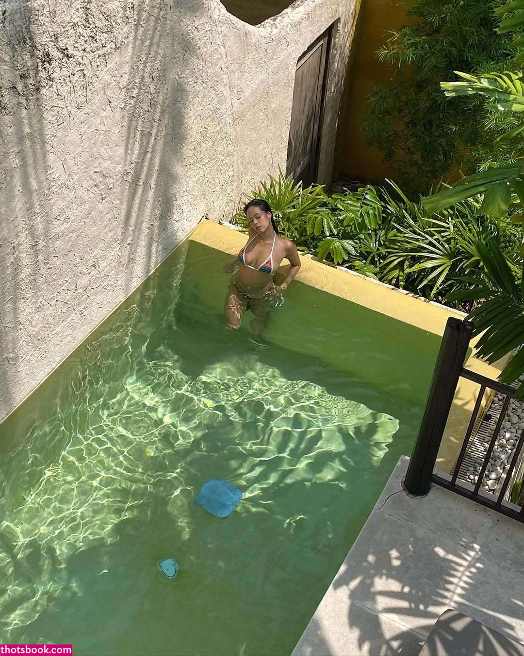 Miki Napolitano Photo #2