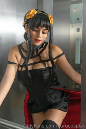 harucosplay Photo #28