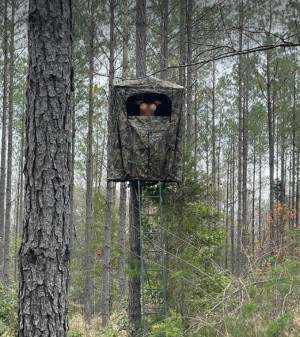 Kimberleysadventures Photo #5