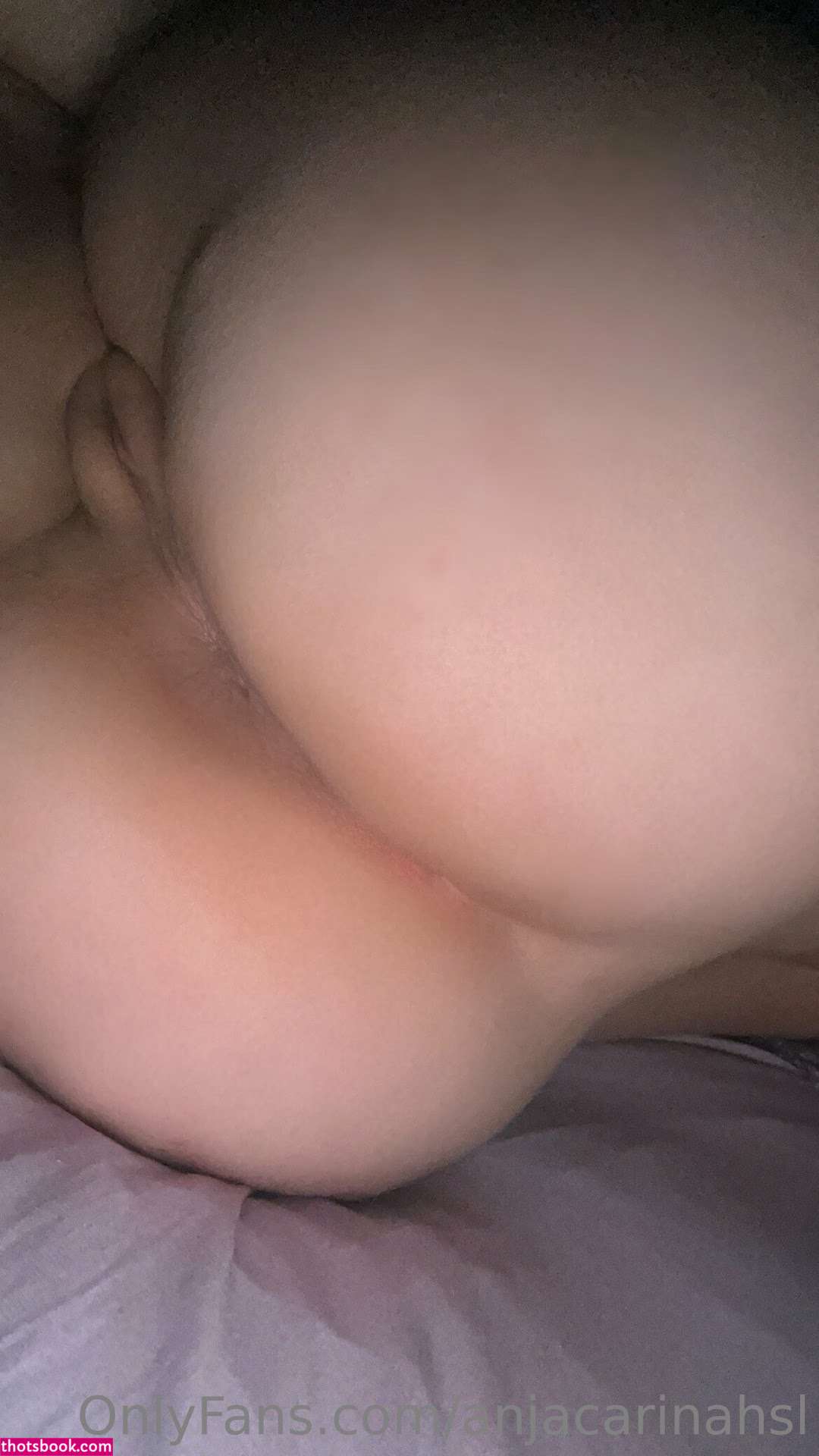 Anjacarina Photo #19