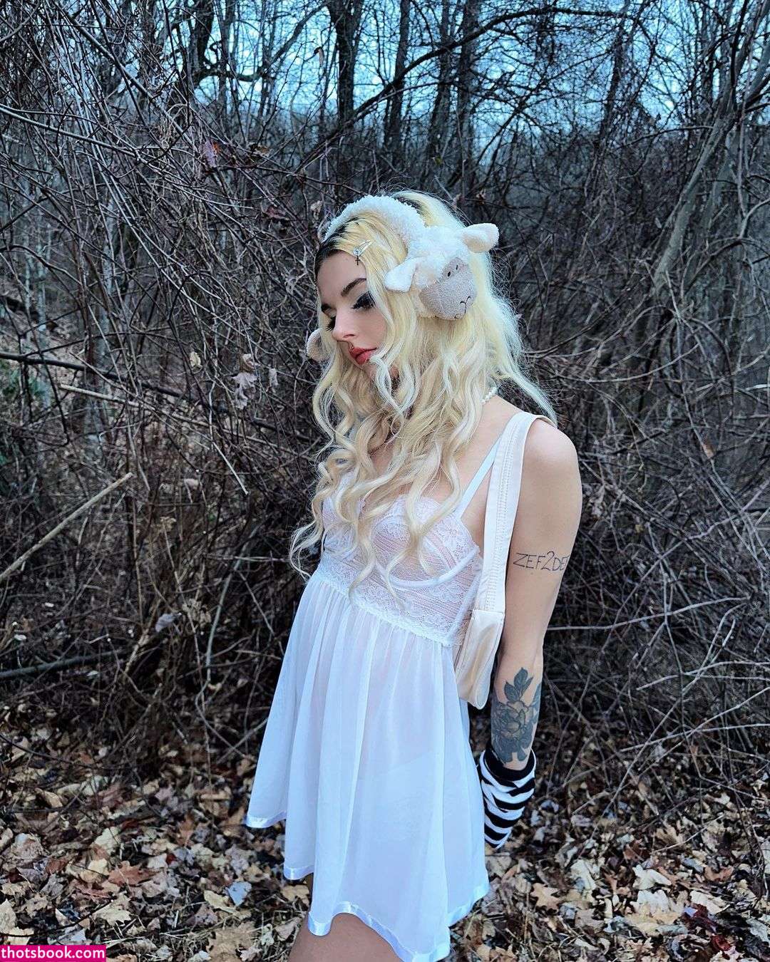 Sweetdistortion Photo #10