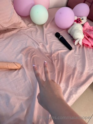 Nalacooper Photo #37