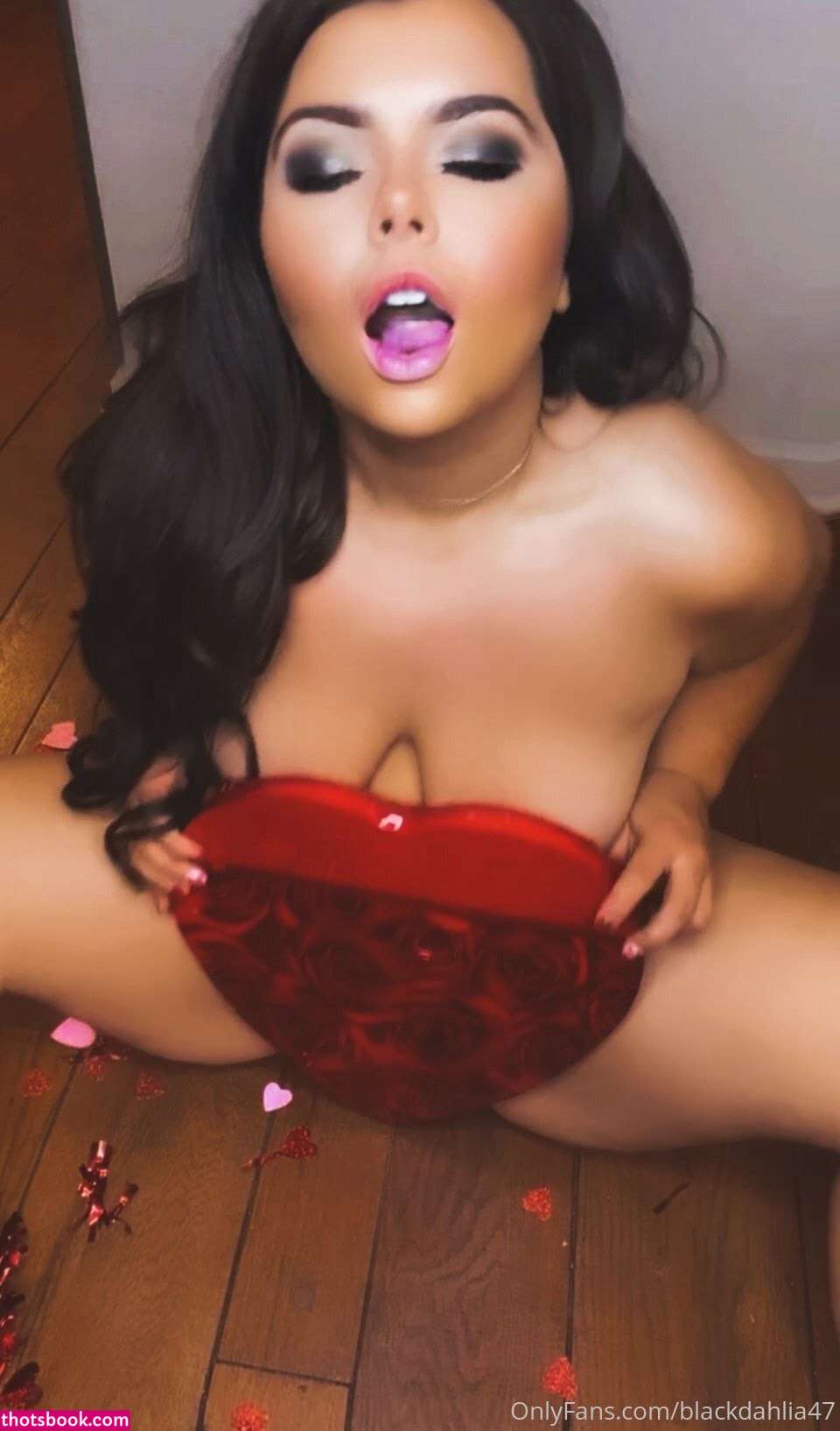 Black dahlia47 Photo #2