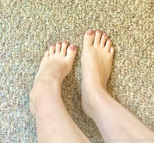 Catalina Woods Photo #20