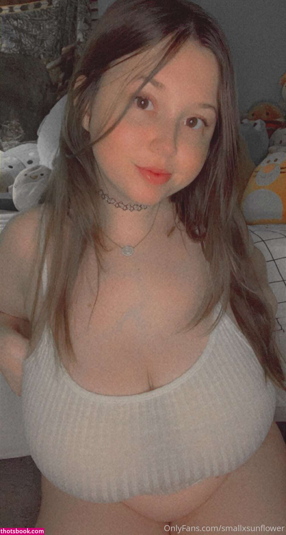 smallxsunflower Photo #18