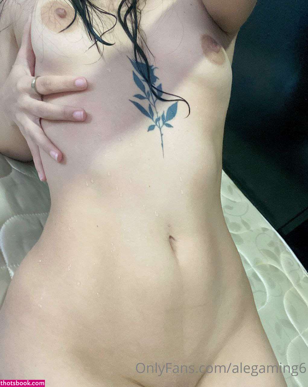 alegaming6 Photo #34