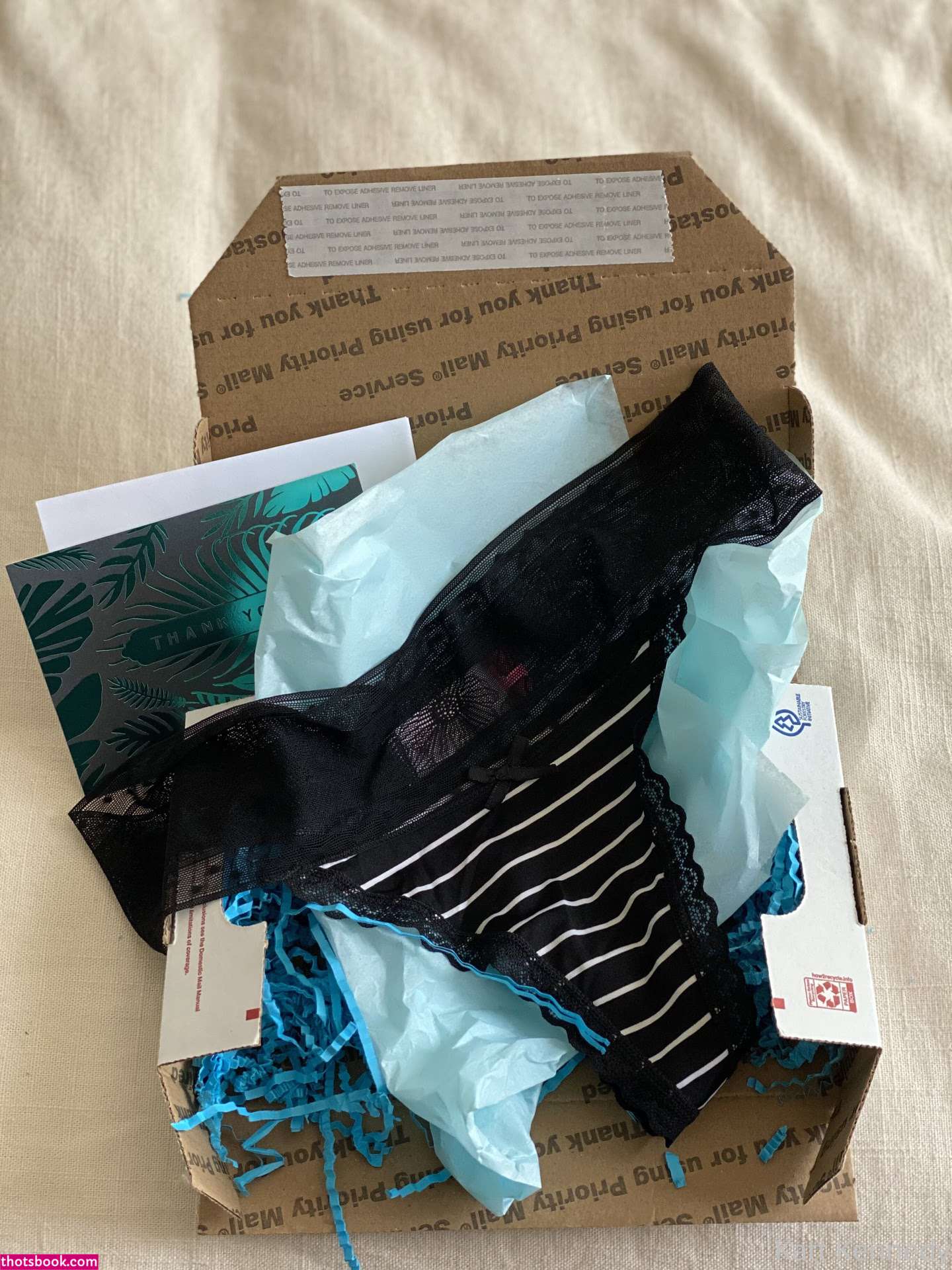 kattkennedy Photo #20