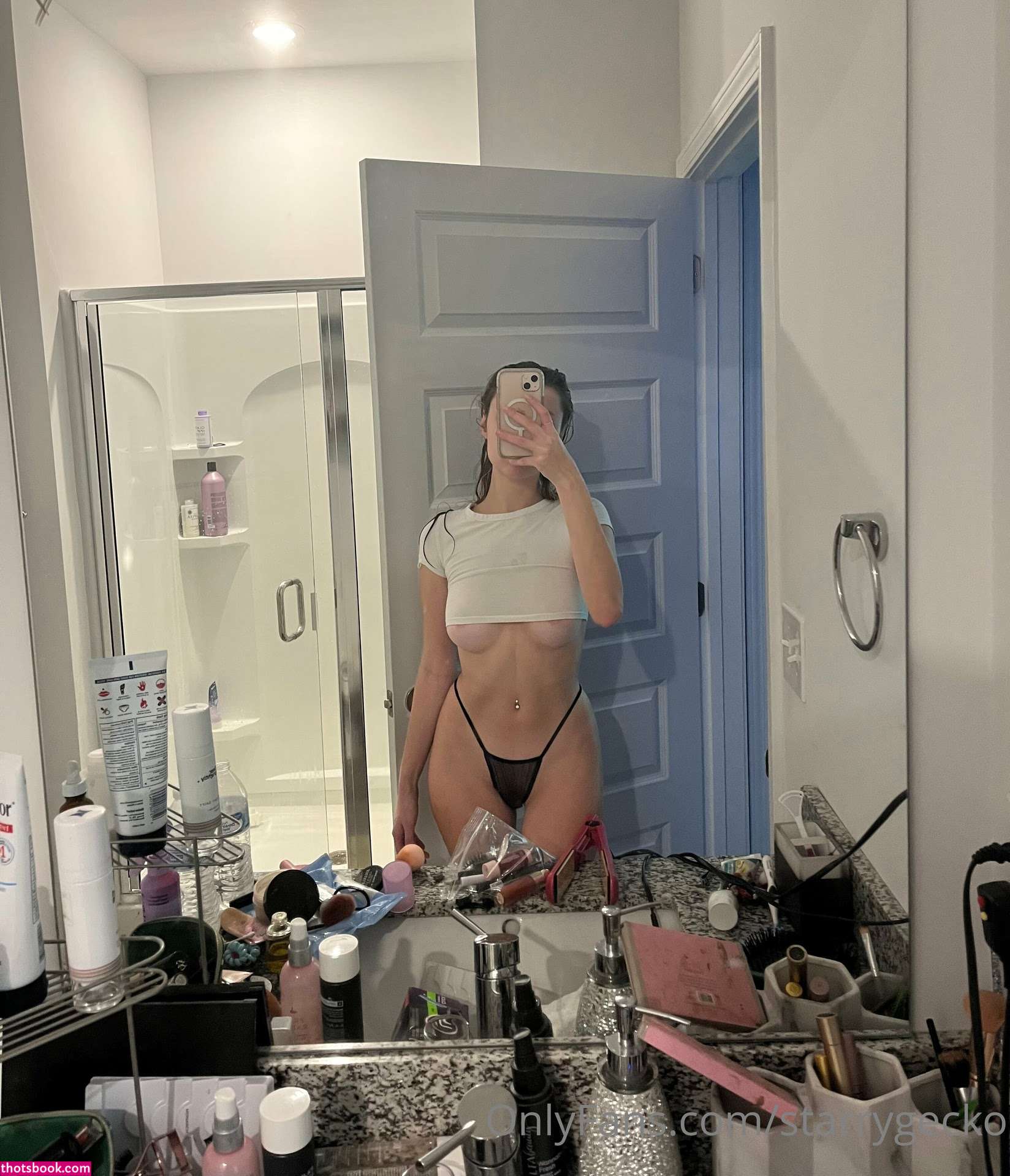 Starry Gecko Photo #13