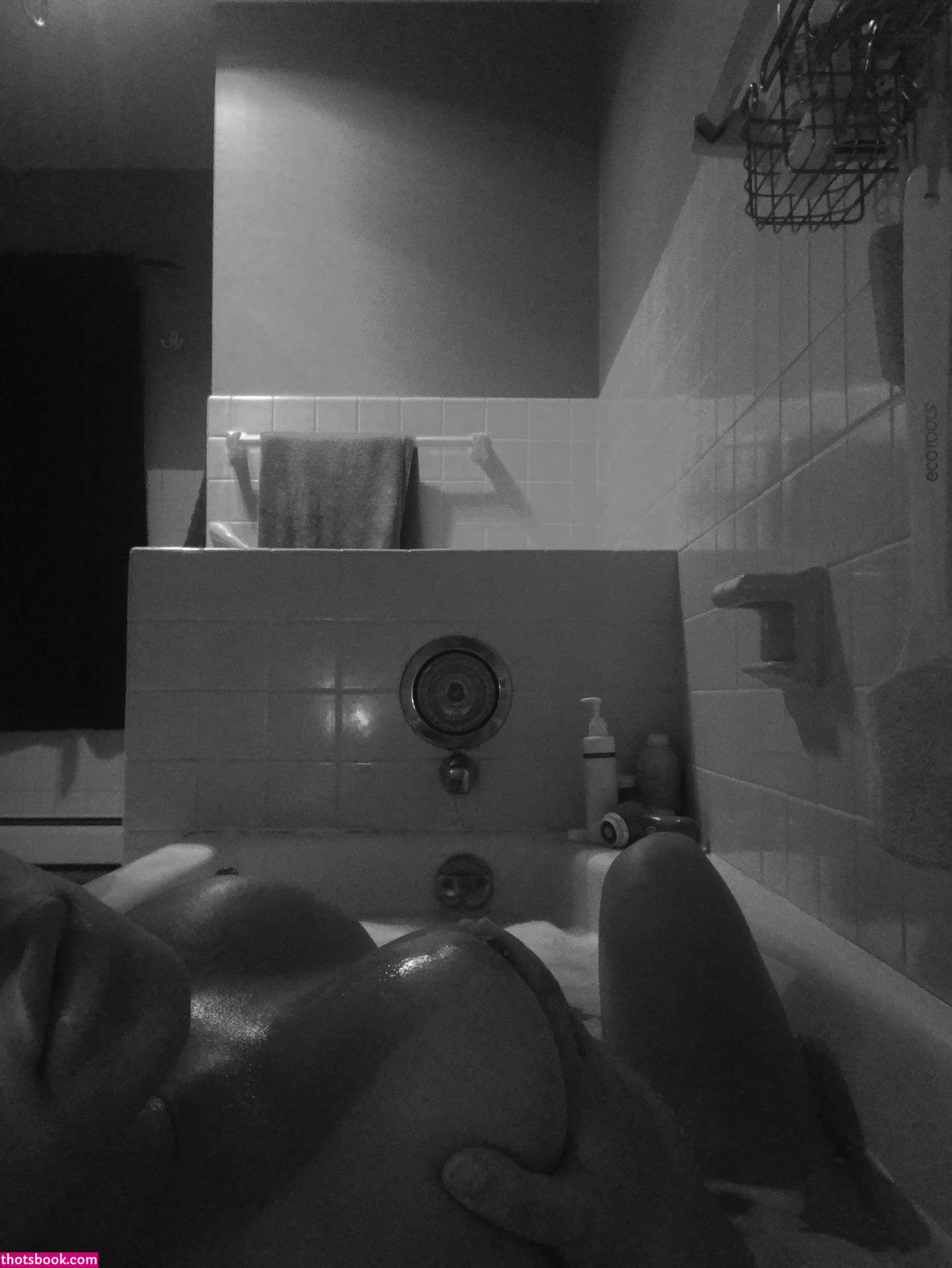 vieraralyn Photo #16