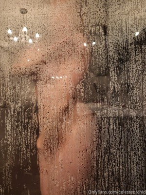 Celeste Orchid Photo #2