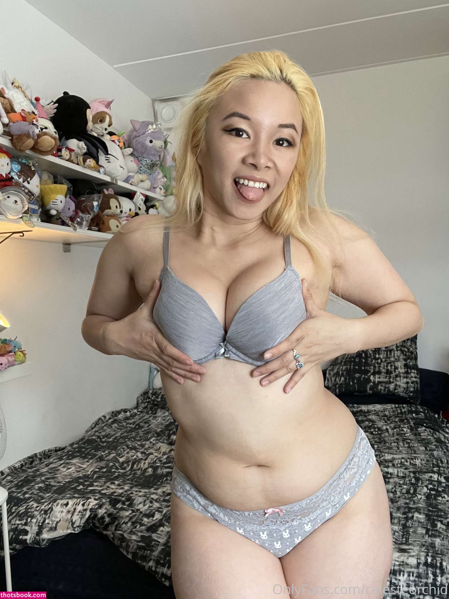 Celeste Orchid Photo #29