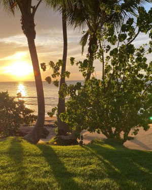 Renee Estella Photo #29