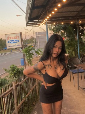 Creator Photo #1916675