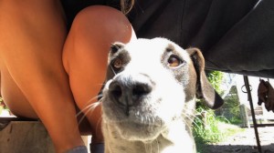 florenciamg Photo #50