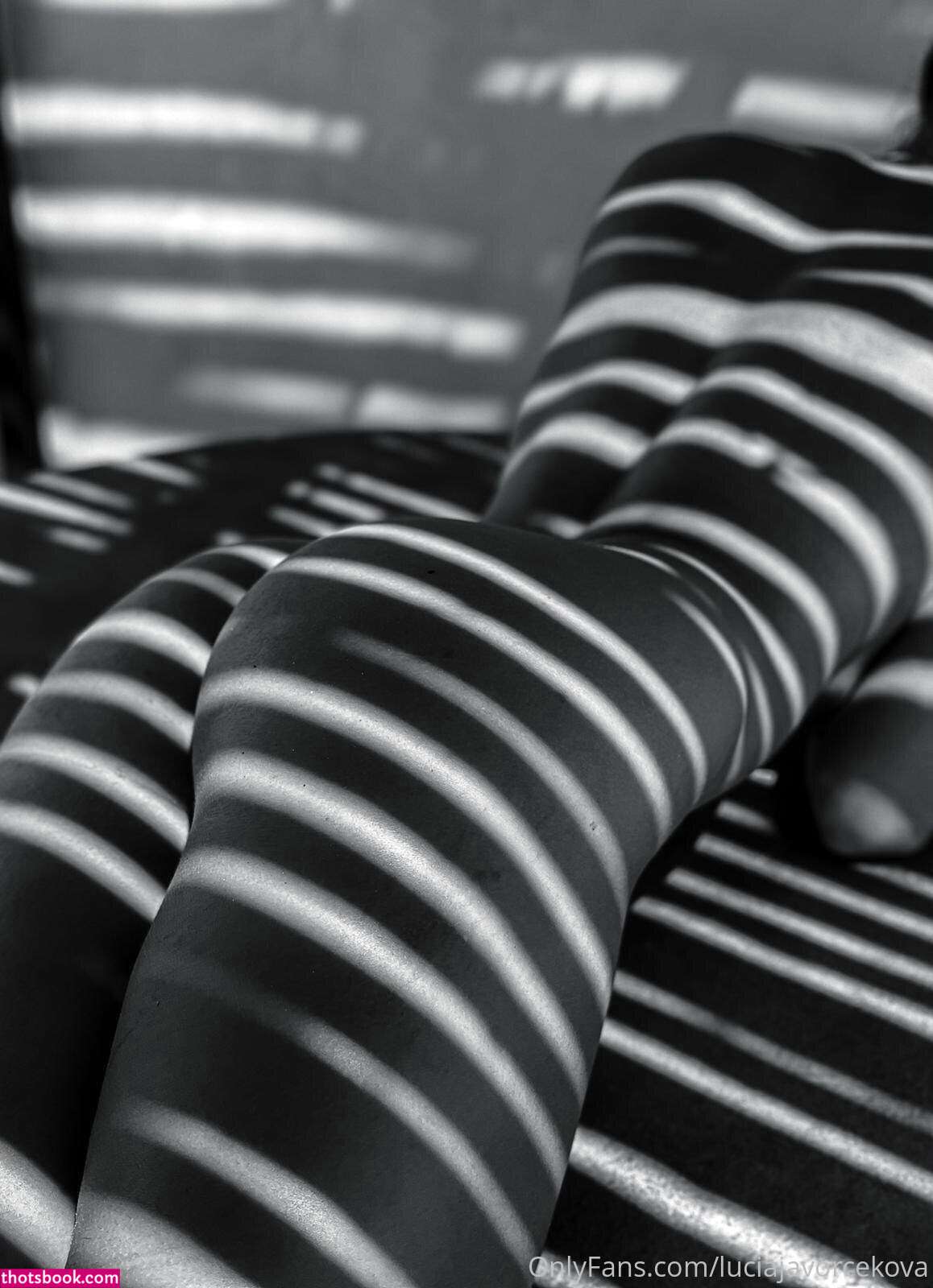 Lucia Javorcekova Photo #278