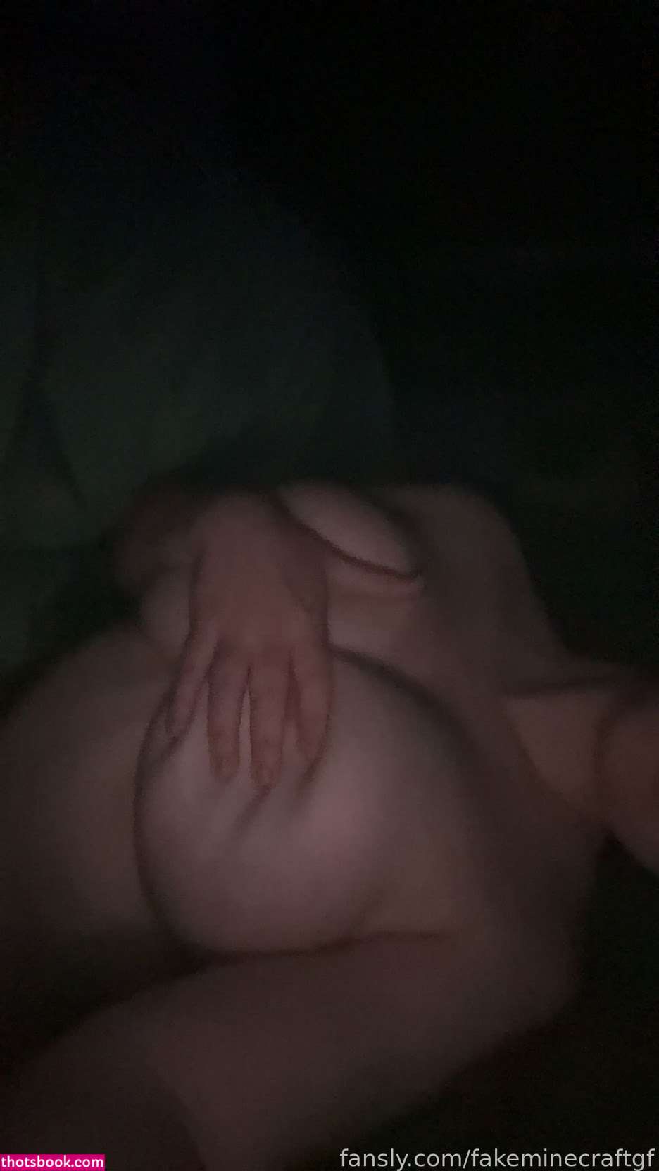 fakeminecraftgf Photo #6