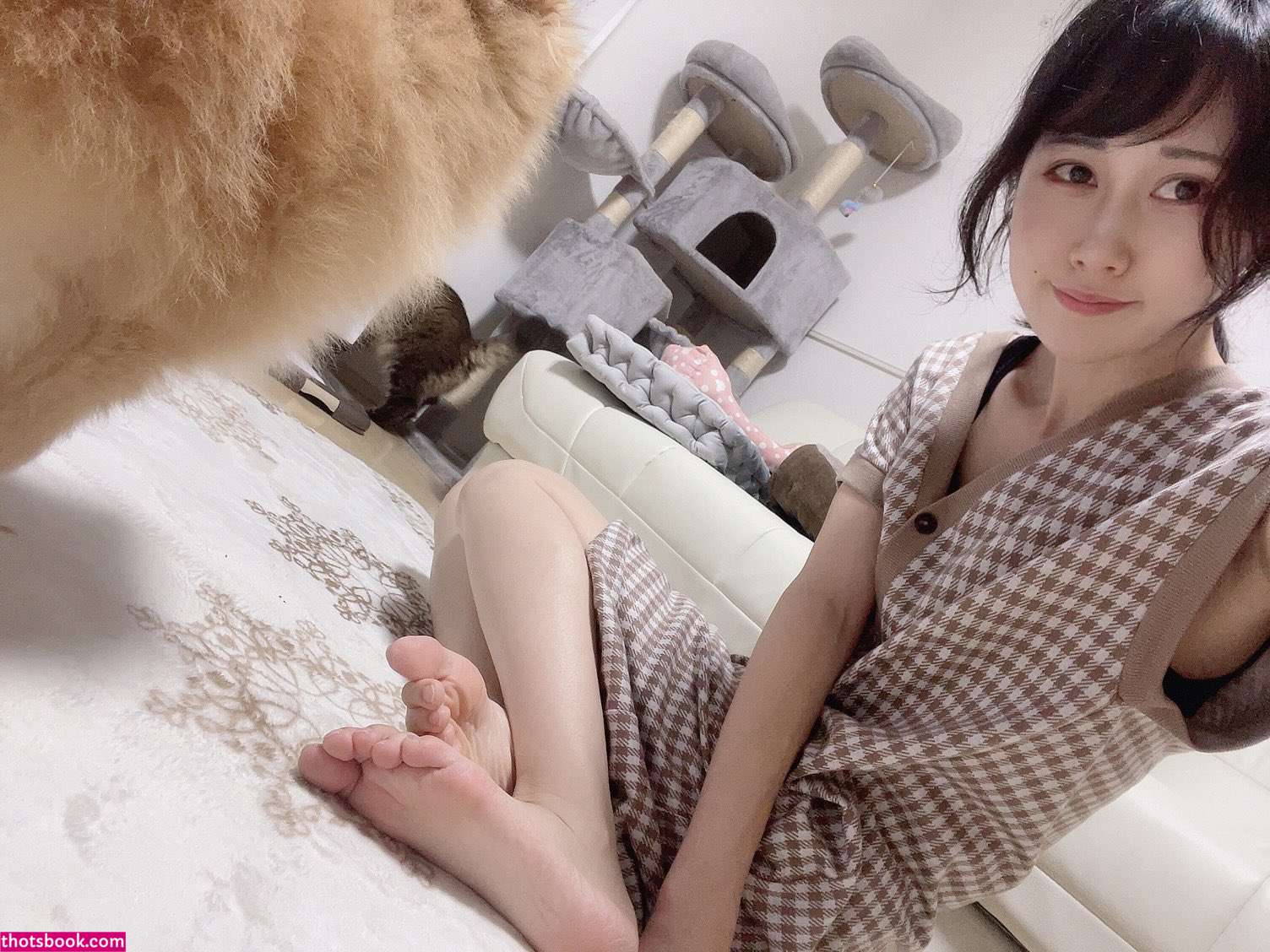 Miyabi Kugimachi Photo #6