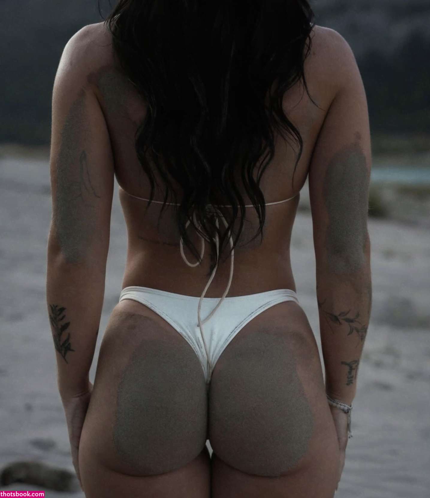 Creator Photo #1918649