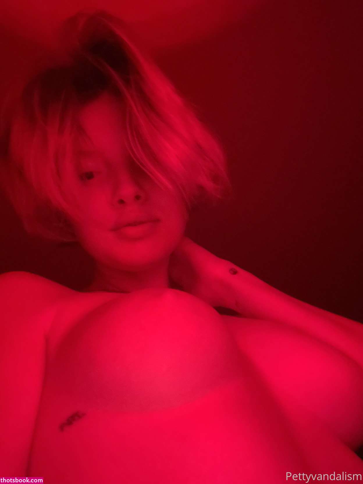 pettyvandalism Photo #9