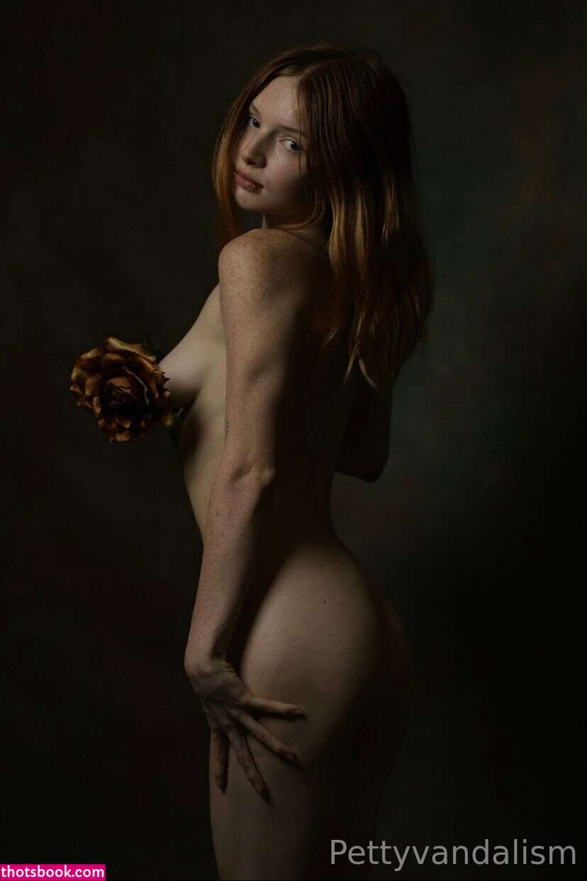 pettyvandalism Photo #23