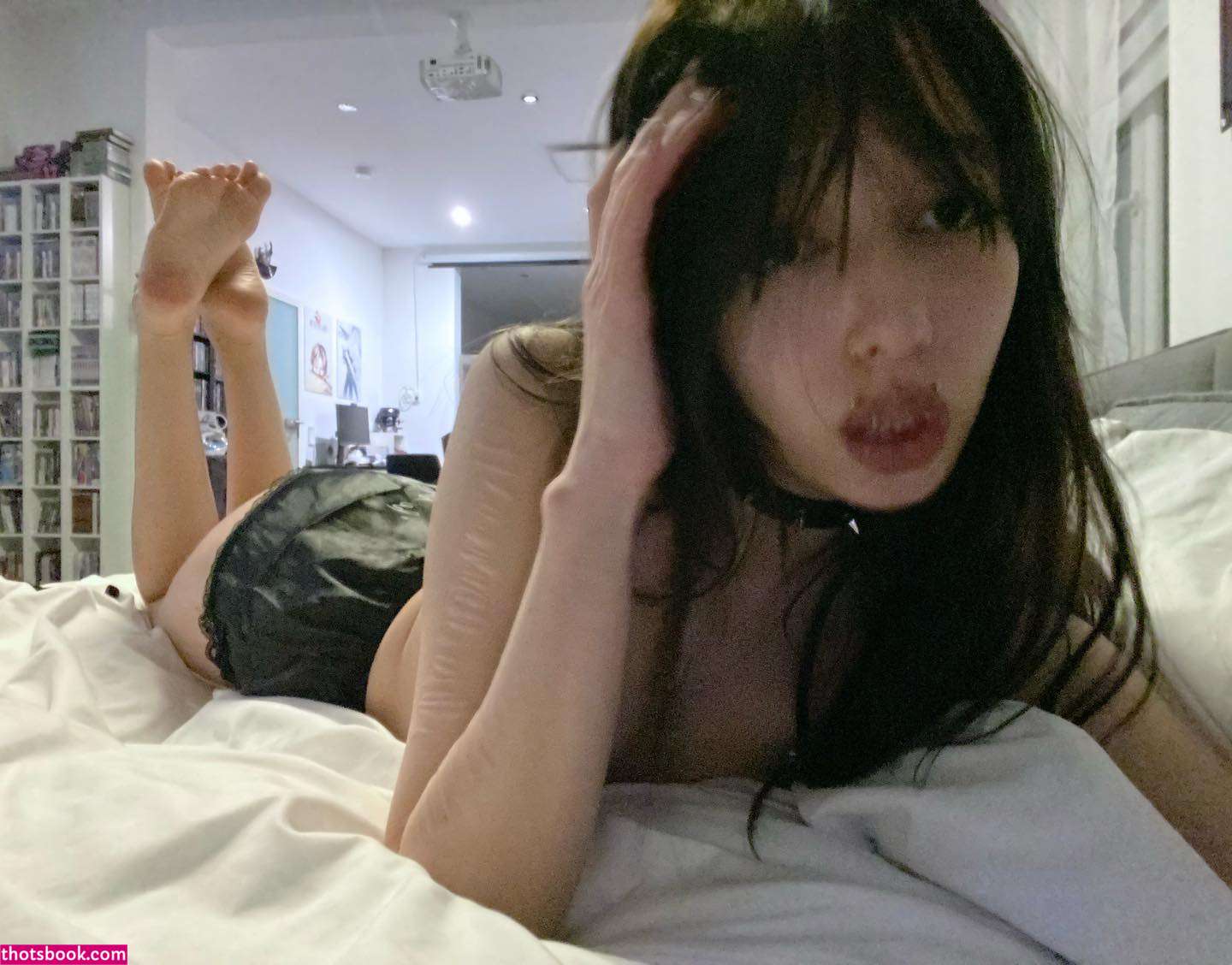 Creator Photo #1920232