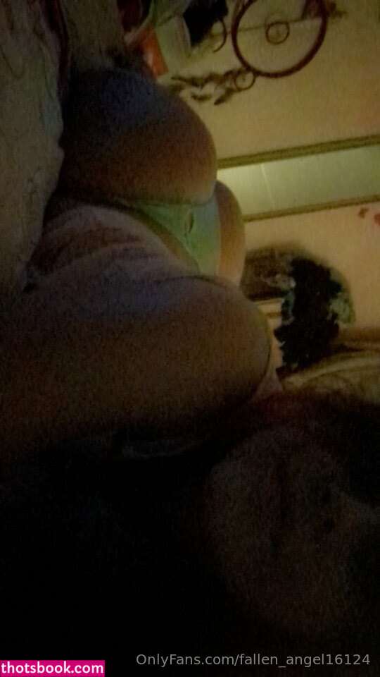 Creator Photo #1914916