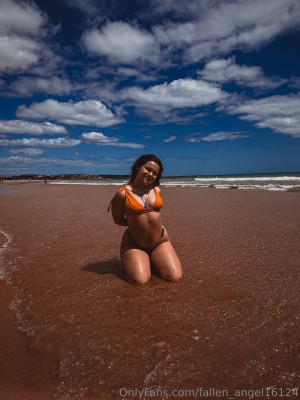 Creator Photo #1914927