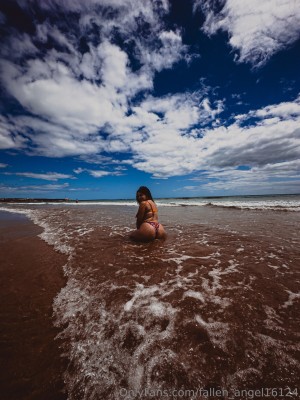 Creator Photo #1914935