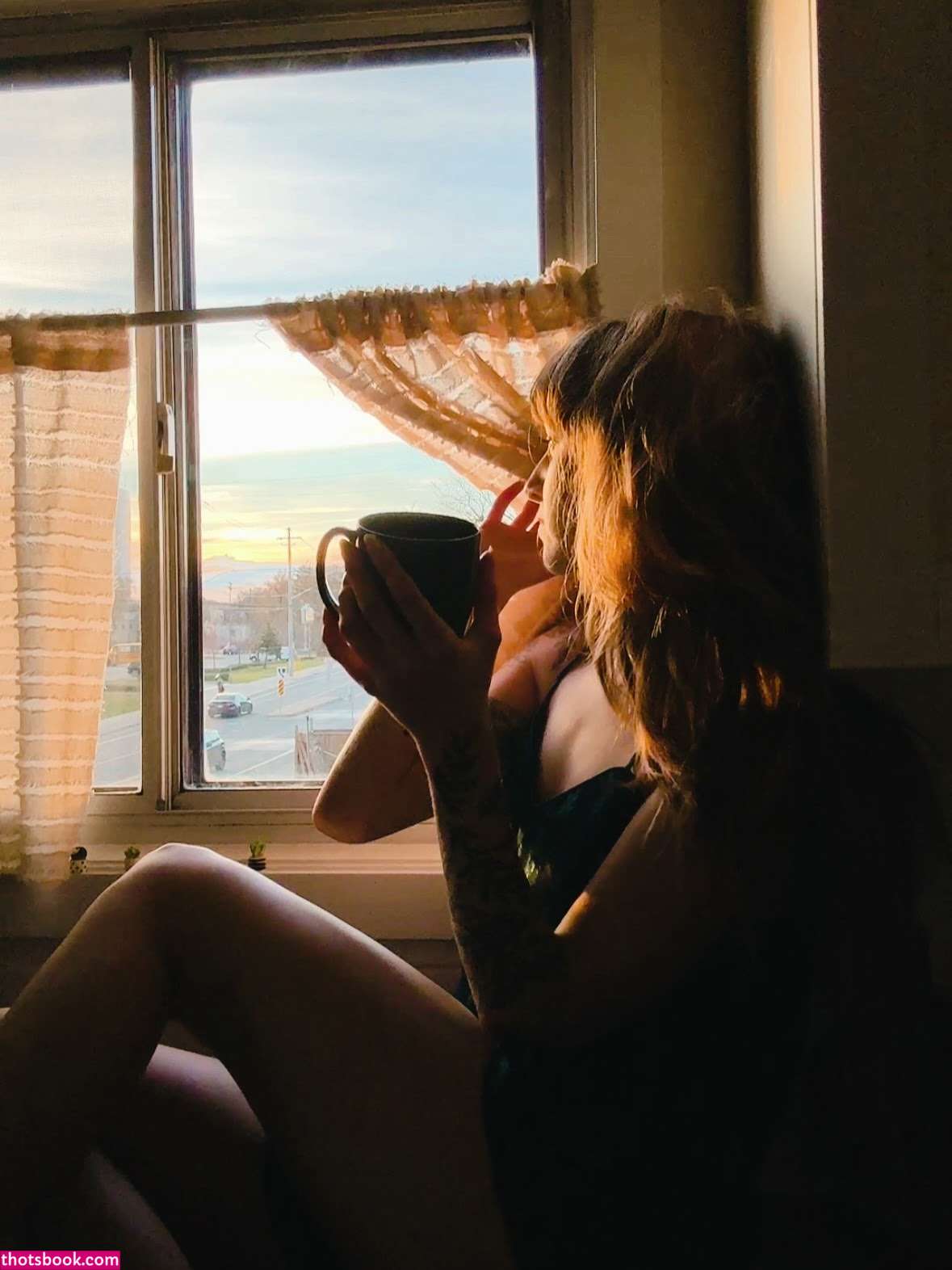 Sarracicero Photo #4