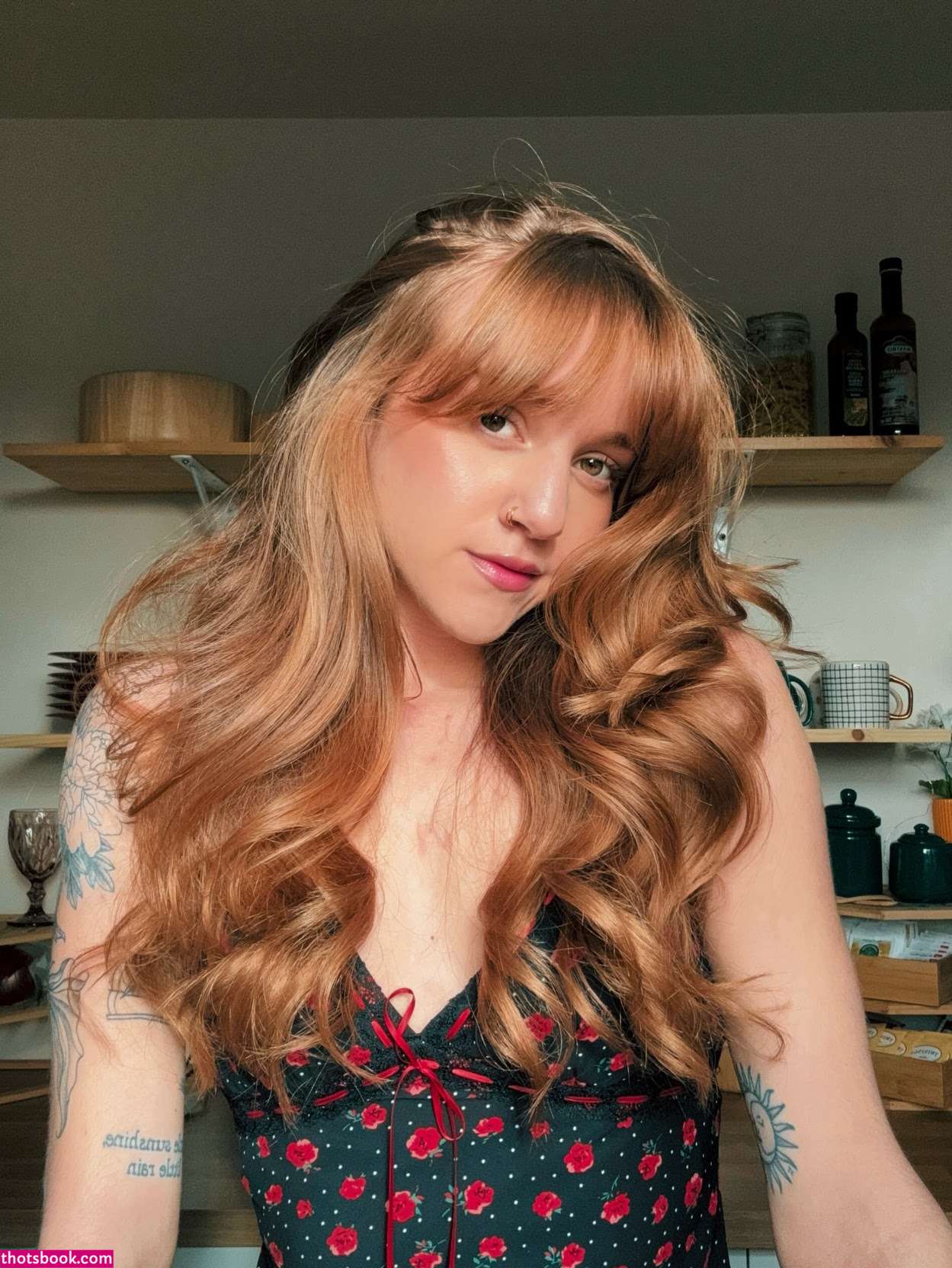 Sarracicero Photo #10