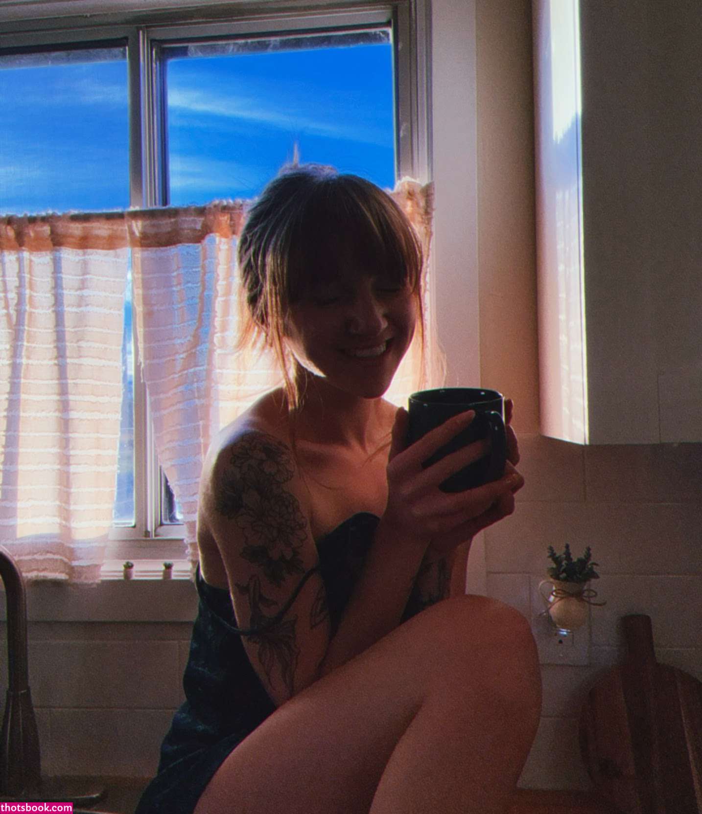 Sarracicero Photo #21