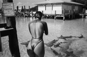 Carmella Rose Photo #315