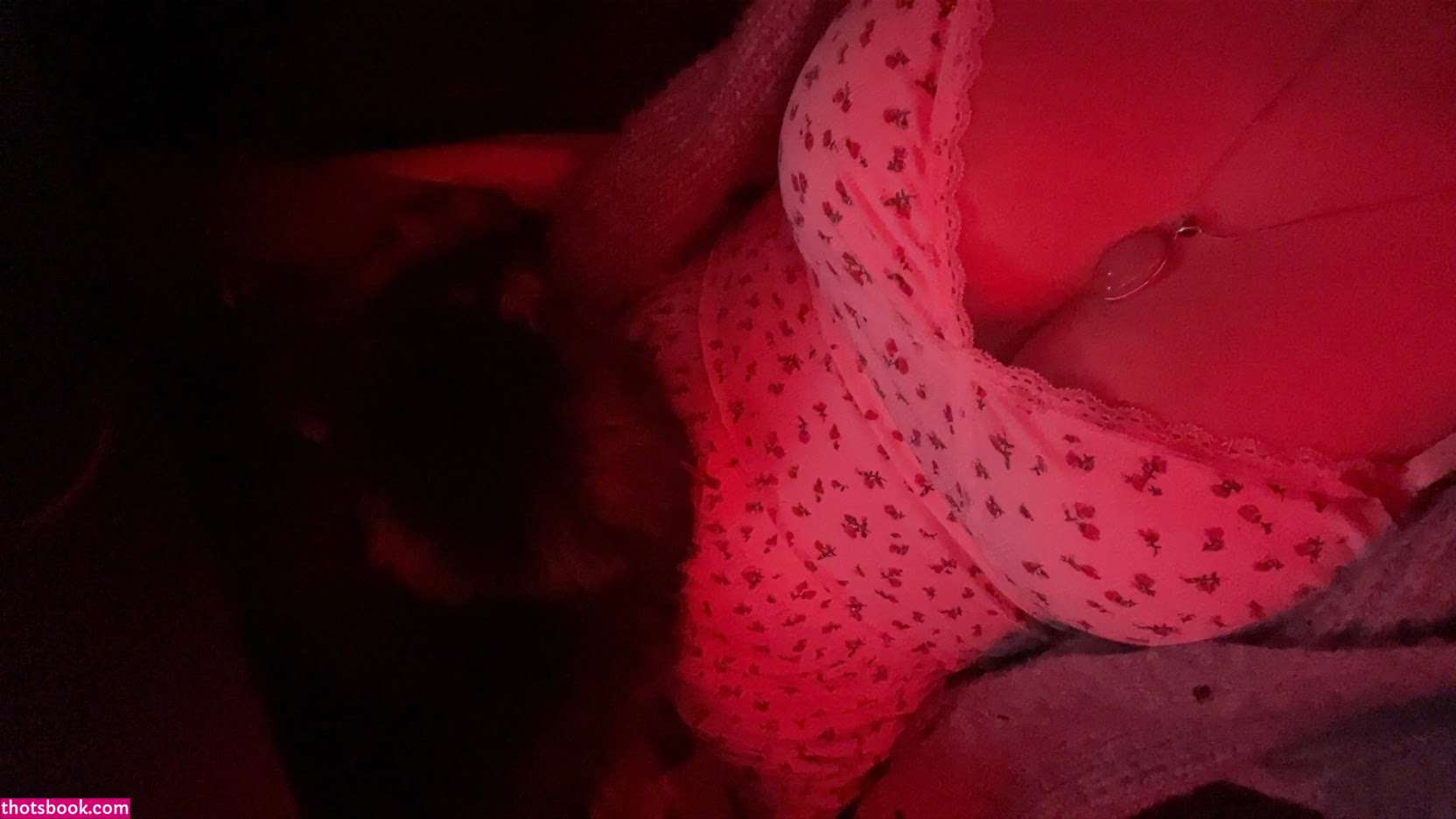 Creator Photo #1941338