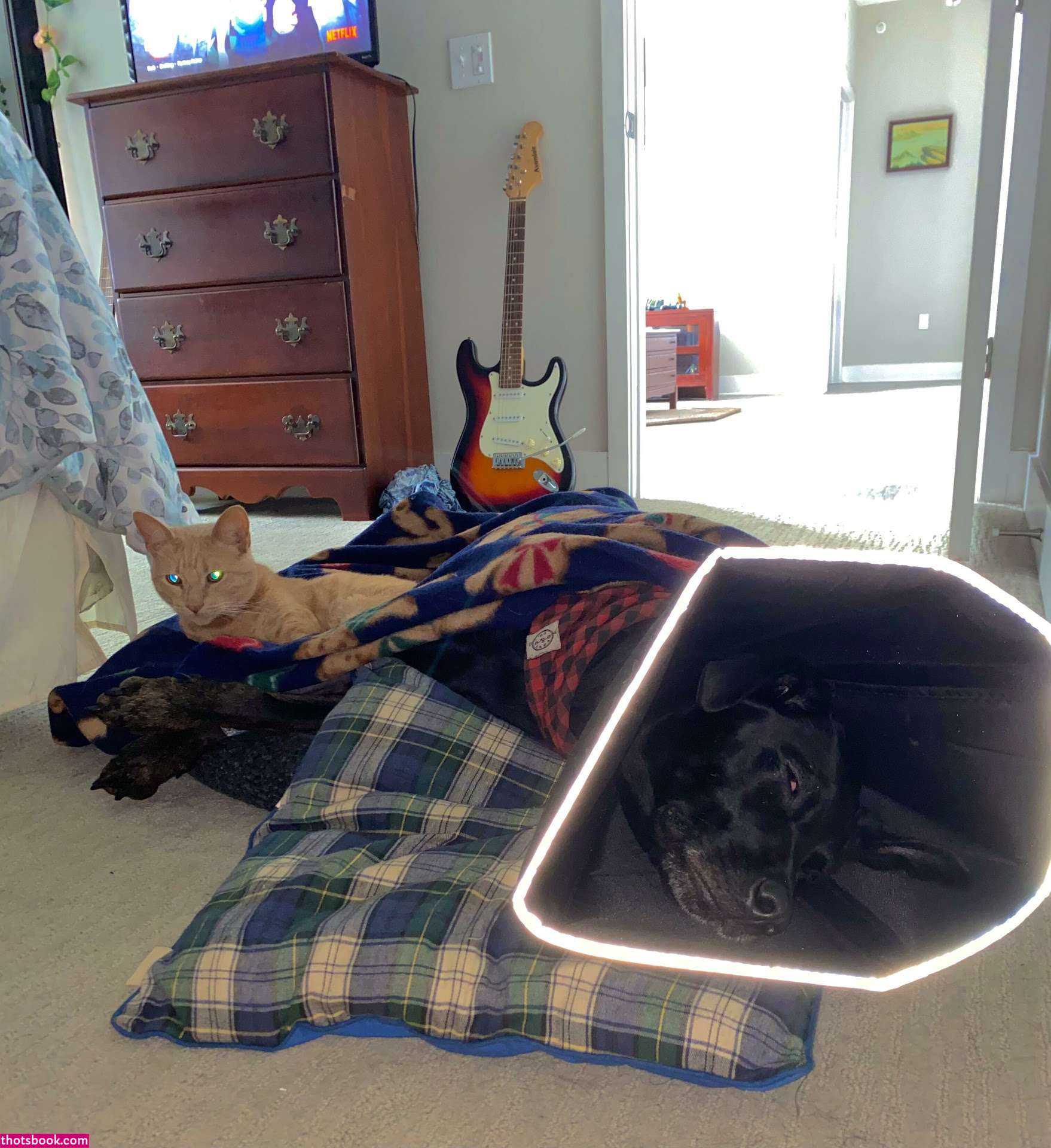 Woahhannahjo Photo #125