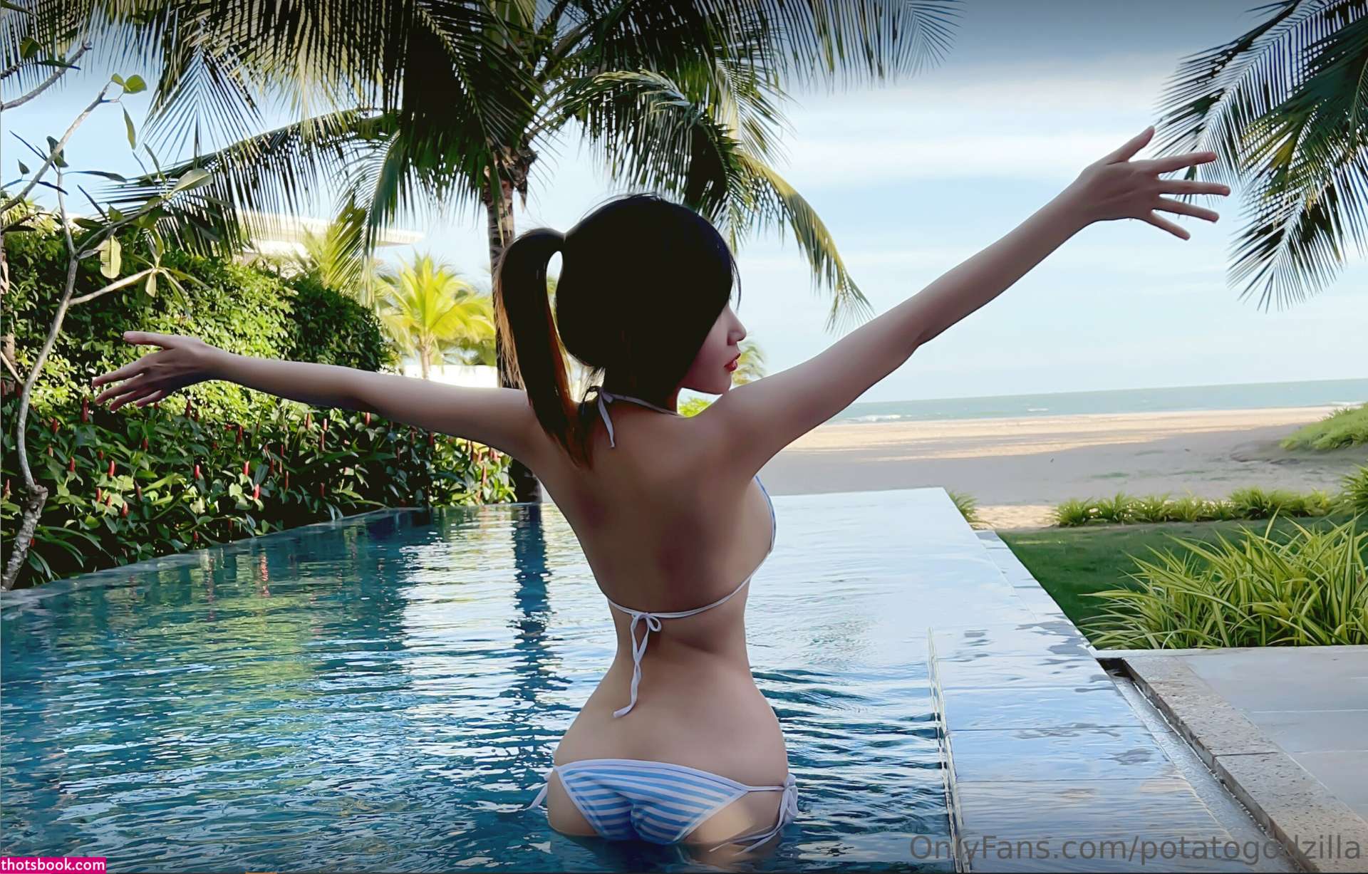 Potato Godzilla Photo #182