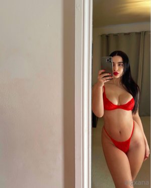 Persiandollgia Photo #89