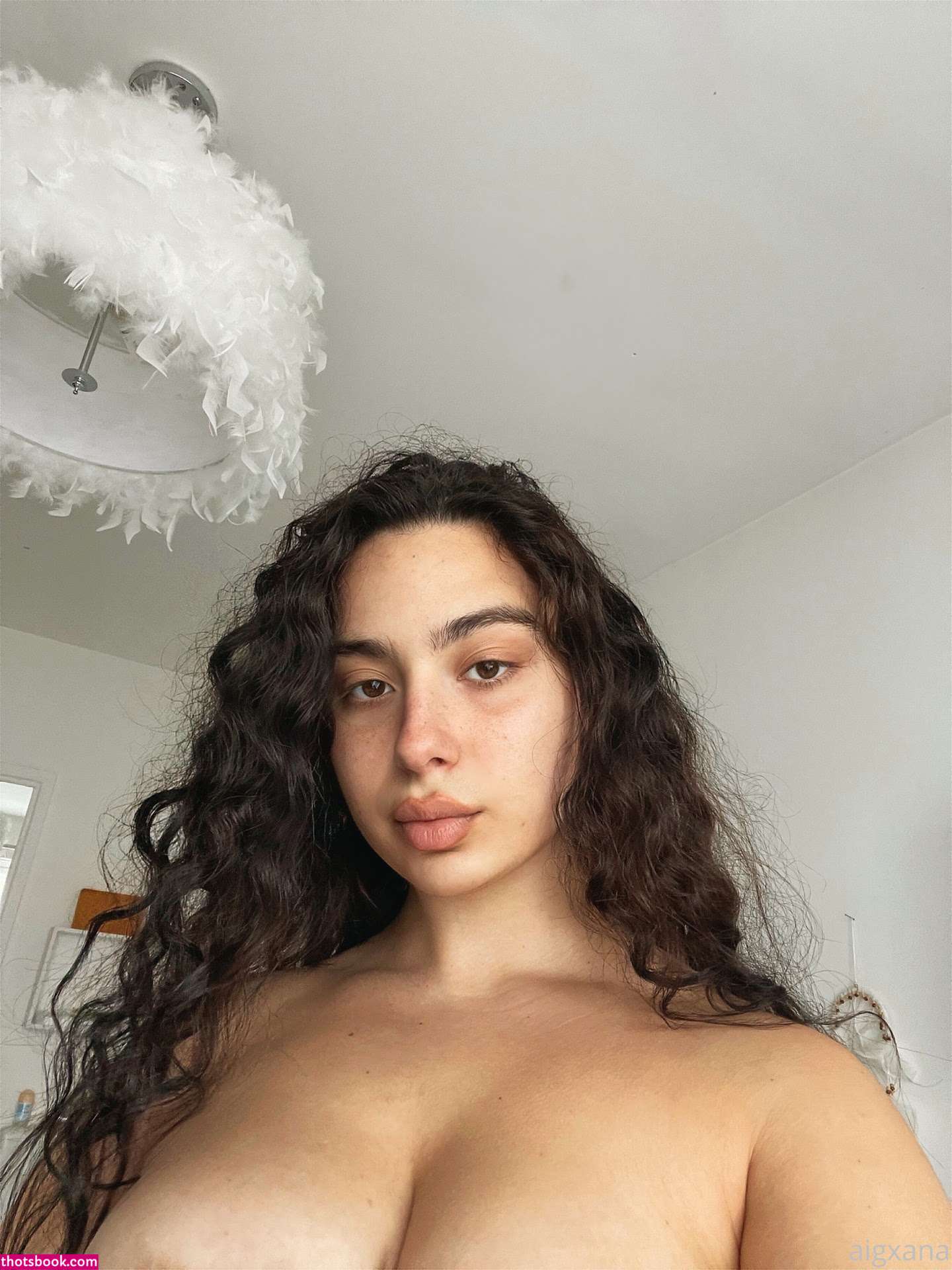 Persiandollgia Photo #142