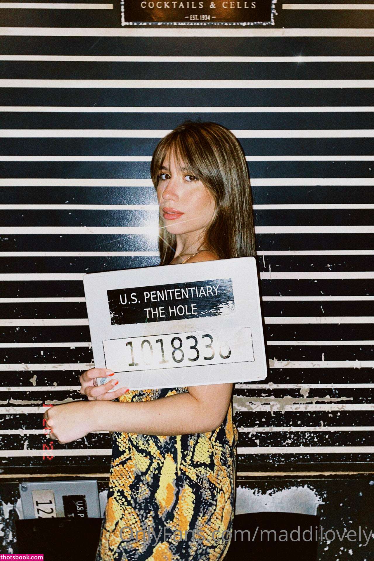 catatorrano Photo #47