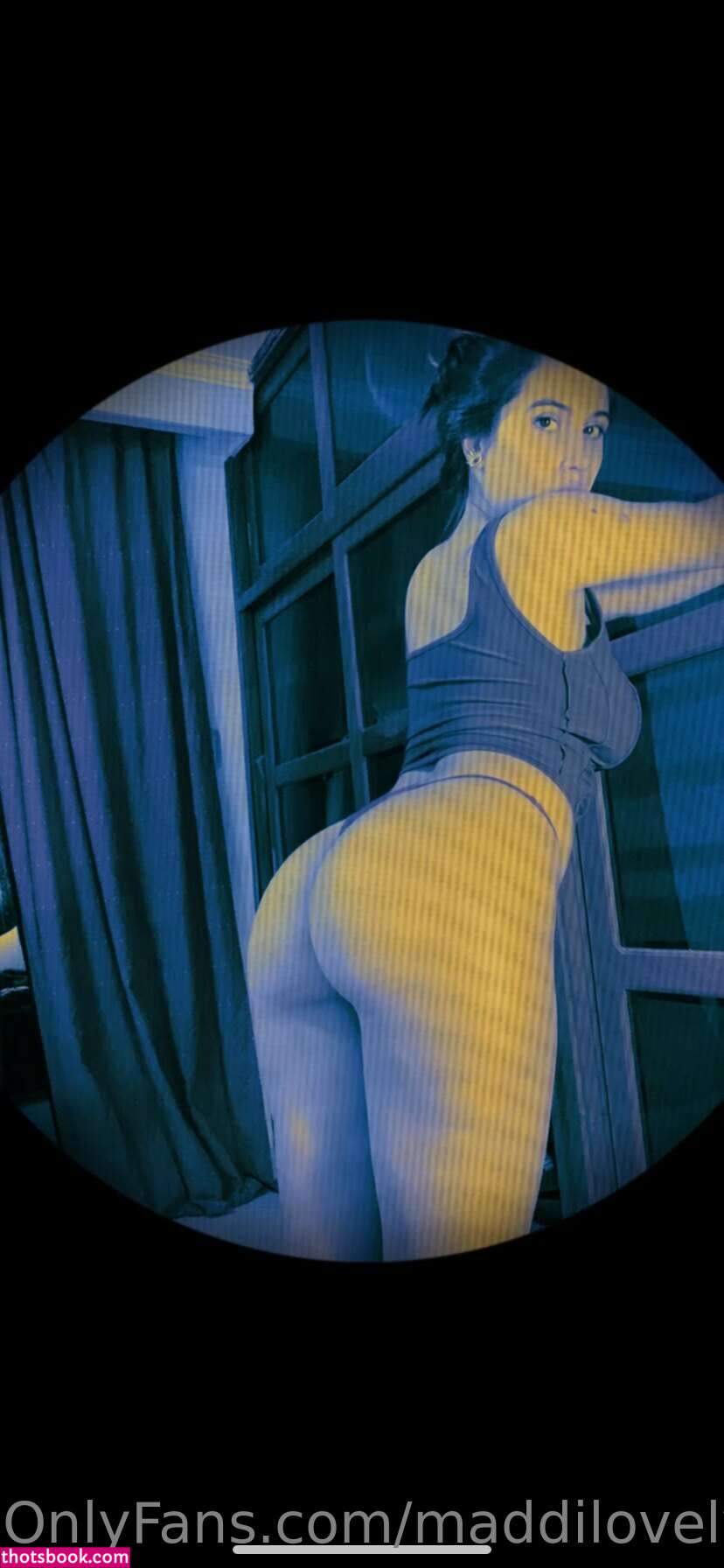 catatorrano Photo #152