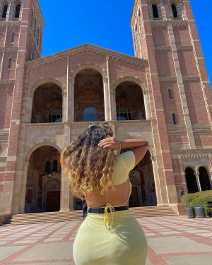 Elison Avocado Photo #11