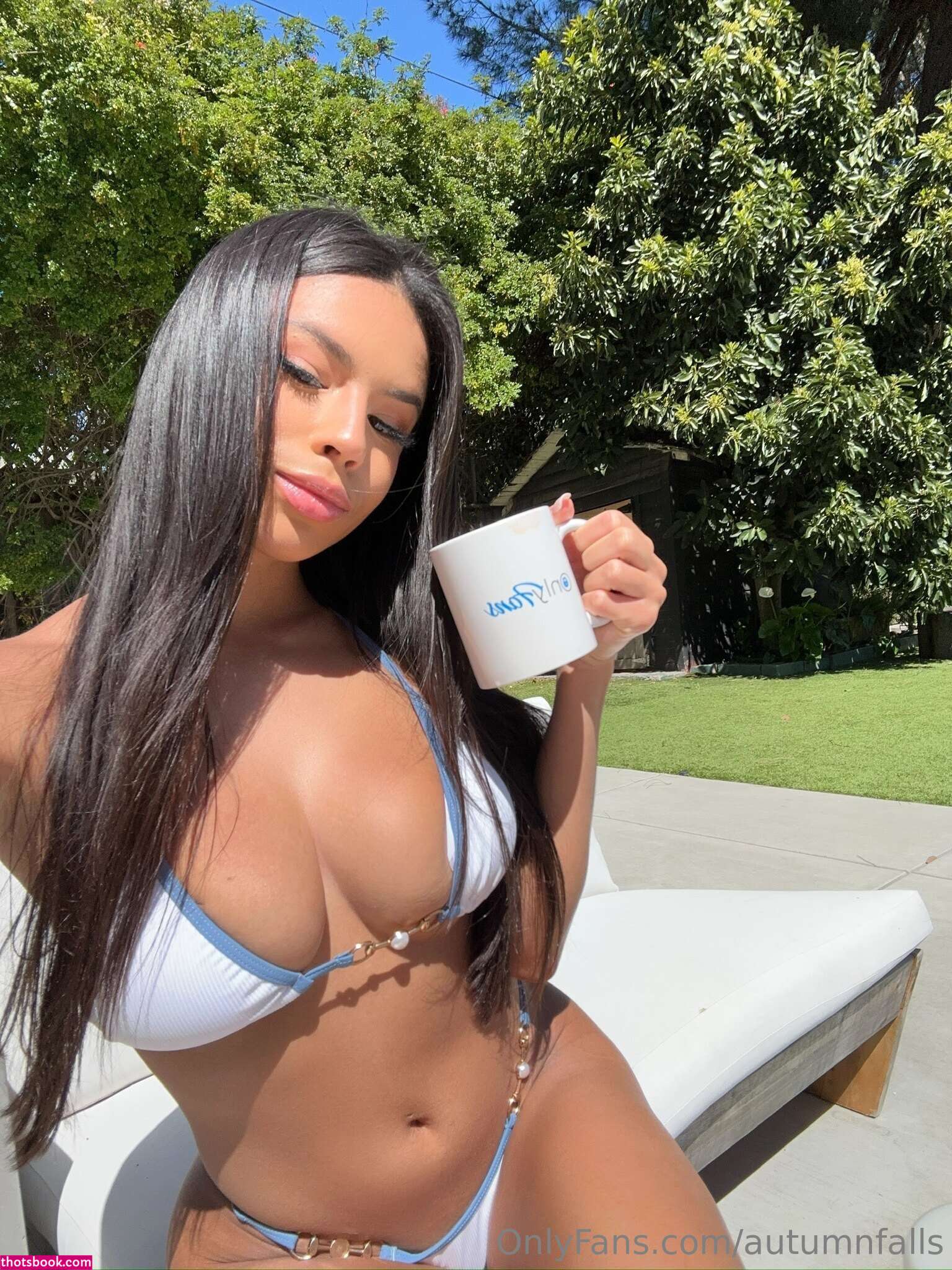 Autumn Falls Photo #366